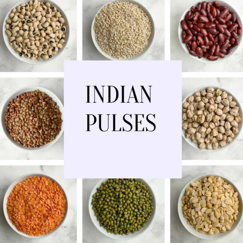 pulse-lentils